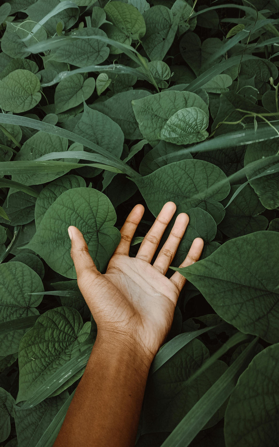 Inspired by Nature